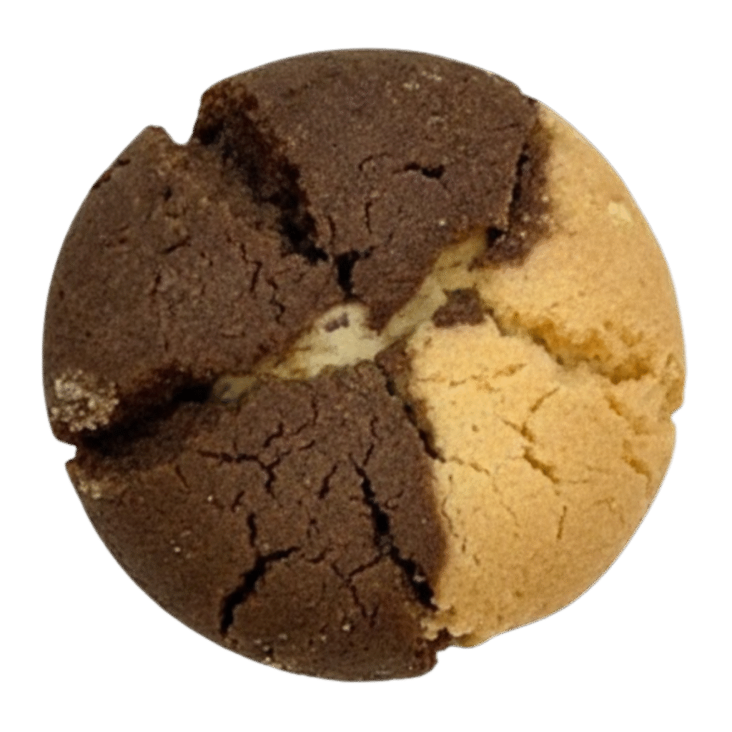 Choco Vanilla Cookies