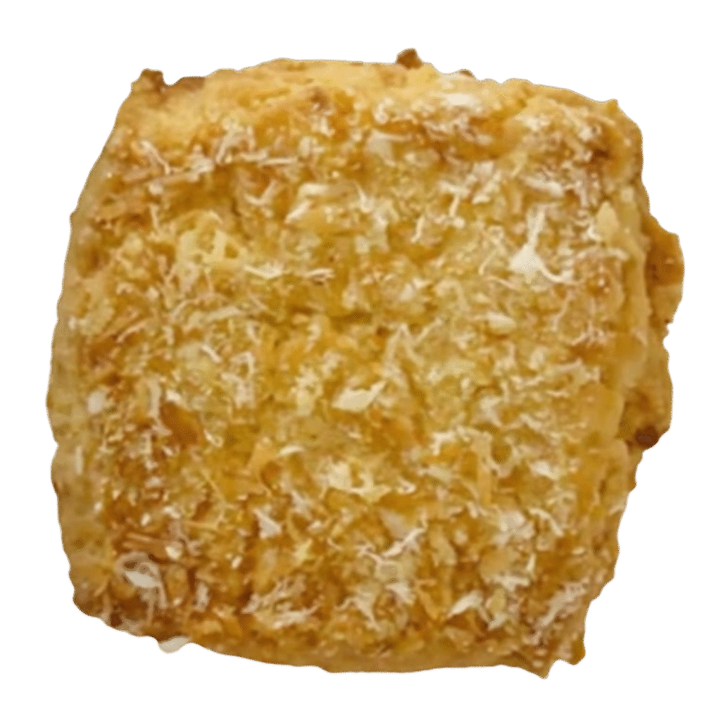 Crunchy Coconut Cookies