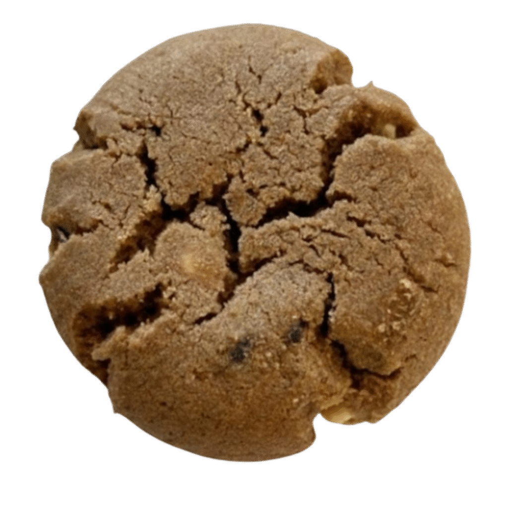 Double Chocochip Cookies